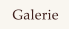 Galerie